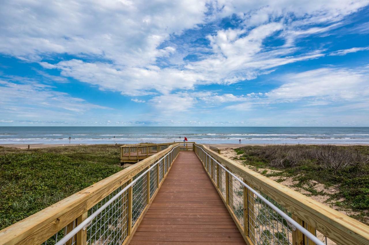 Beachview Condominiums: Palm Tree Pathway South Padre Island Εξωτερικό φωτογραφία