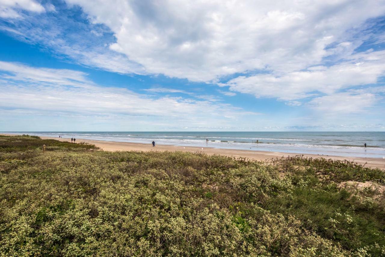 Beachview Condominiums: Palm Tree Pathway South Padre Island Εξωτερικό φωτογραφία